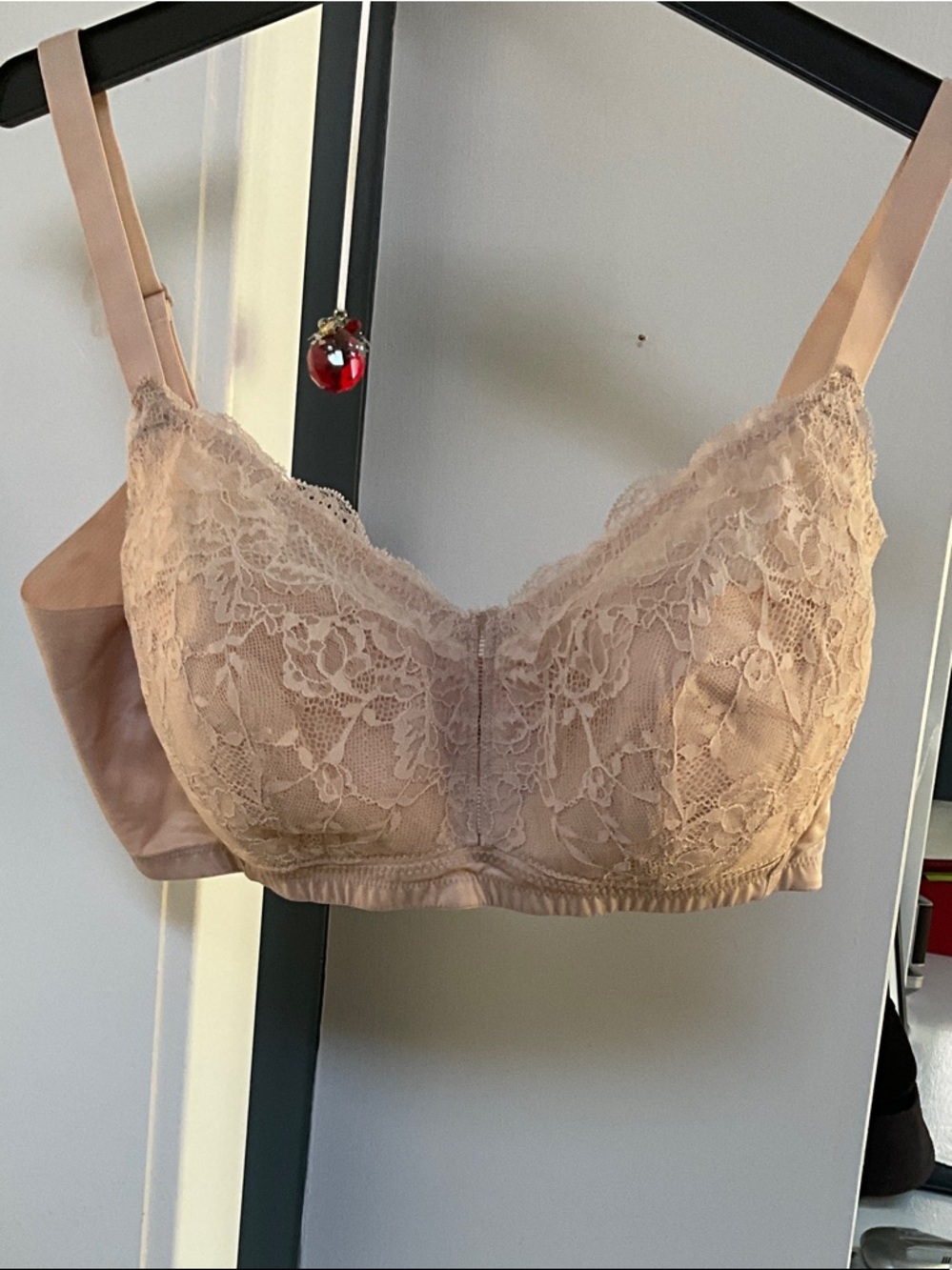 Lace Soft-Cup Bra in Nude Blush - Comfortable Everyday Support